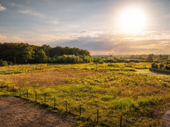 a field with trees and a road
